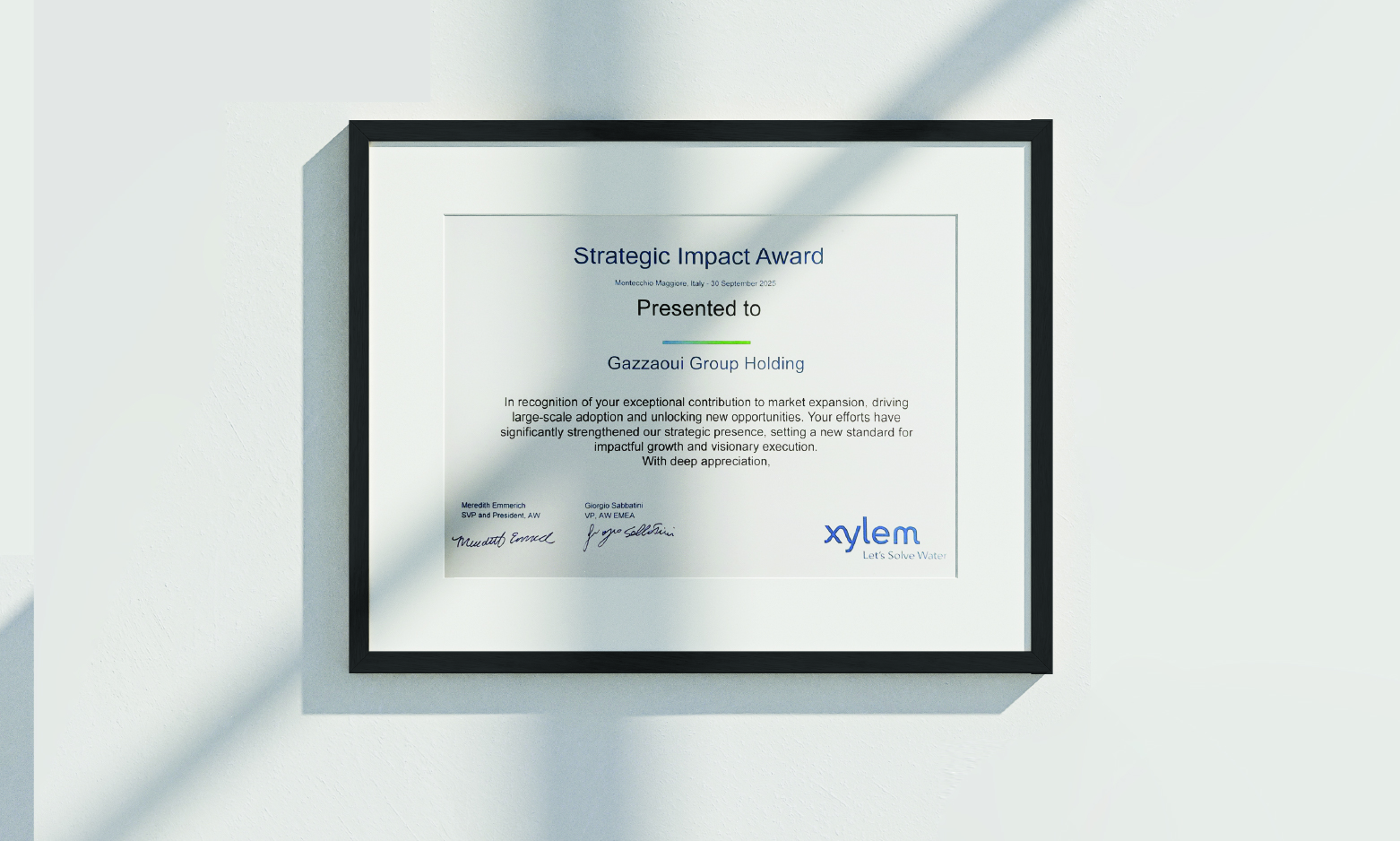 Gazzaoui Strategic Impact Award from Xylem